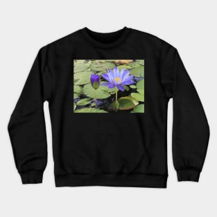 "Water Lillies" Crewneck Sweatshirt